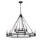 Z-Lite Dennison 18 Light Chandelier, Matte Black 4005-18MB - alternate 6